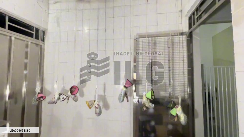 China: Pet Owner Hangs Seven Kittens from Ceiling for IV Treatment