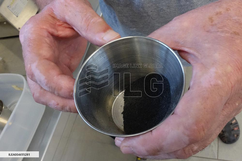 Project To Sterilize Tiger Mosquitoes - Italy