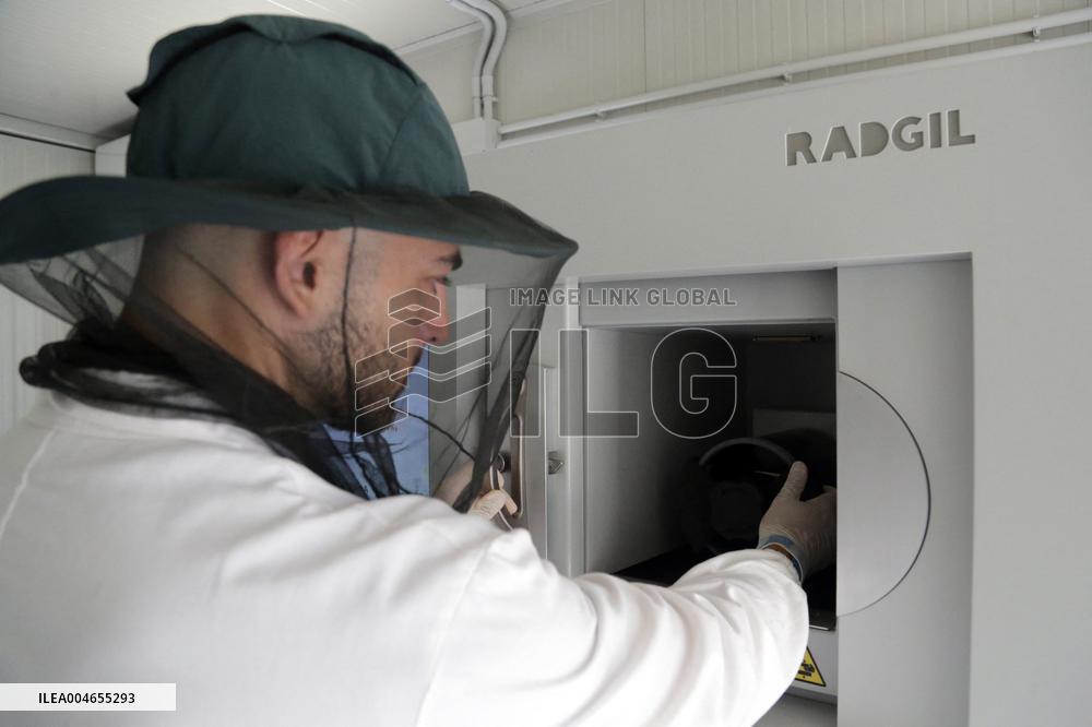 Project To Sterilize Tiger Mosquitoes - Italy