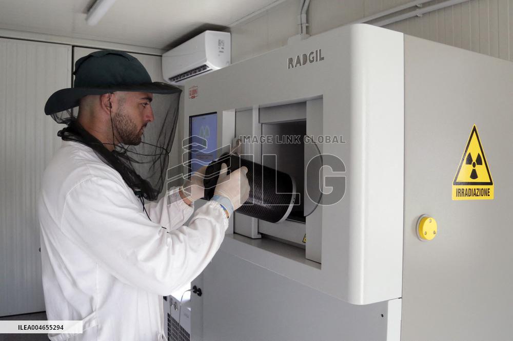 Project To Sterilize Tiger Mosquitoes - Italy