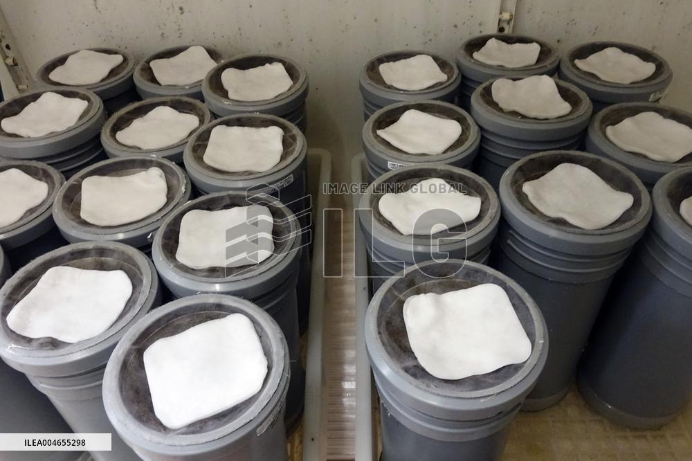 Project To Sterilize Tiger Mosquitoes - Italy