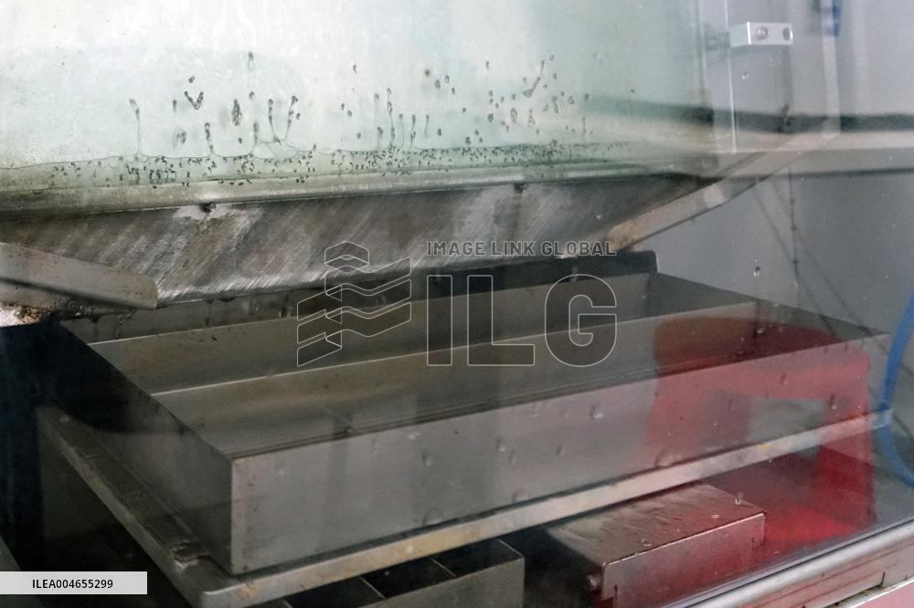 Project To Sterilize Tiger Mosquitoes - Italy