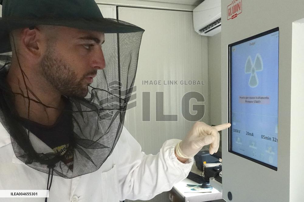 Project To Sterilize Tiger Mosquitoes - Italy