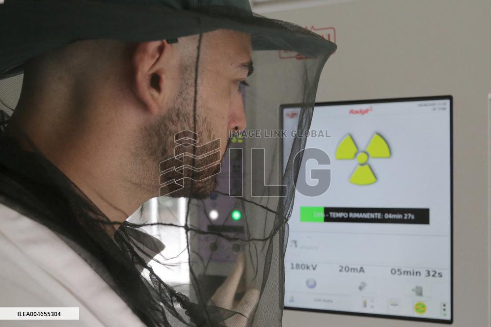 Project To Sterilize Tiger Mosquitoes - Italy