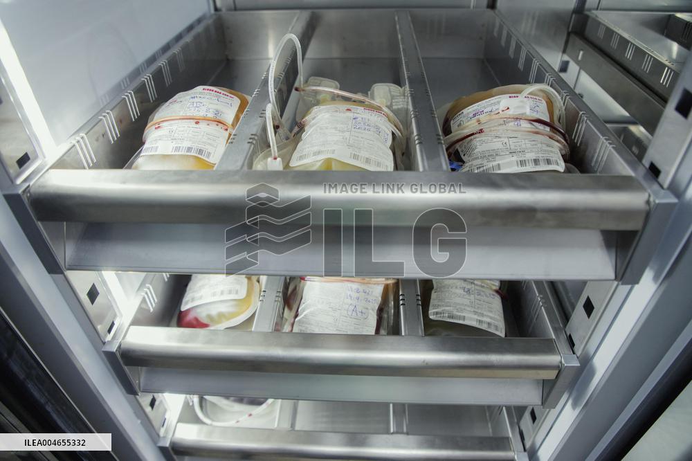 Blood Donation in Bardarash Iraq