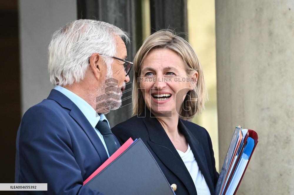 Council of Ministers at the Elysee Palace - Paris