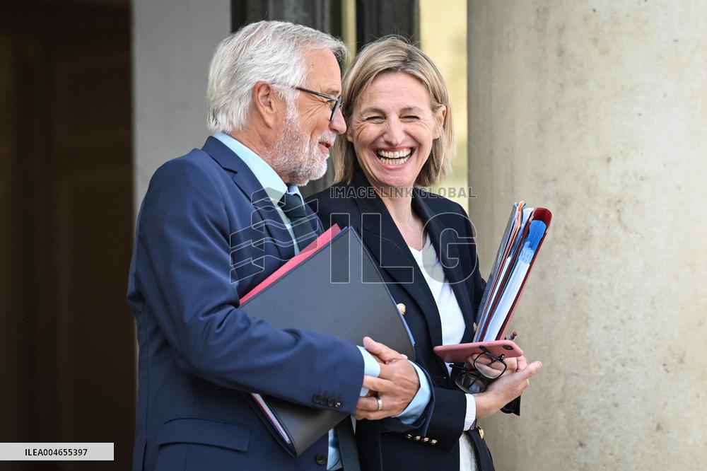 Council of Ministers at the Elysee Palace - Paris