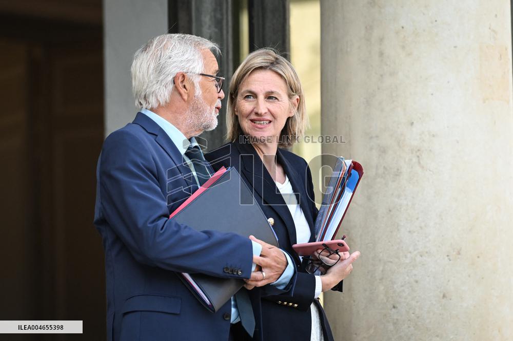 Council of Ministers at the Elysee Palace - Paris