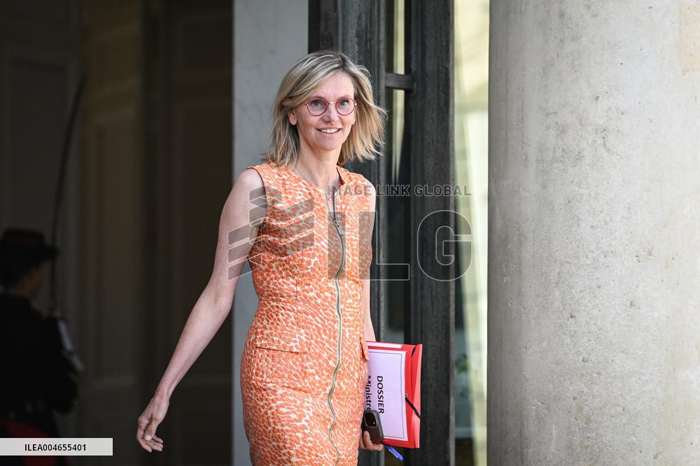 Council of Ministers at the Elysee Palace - Paris