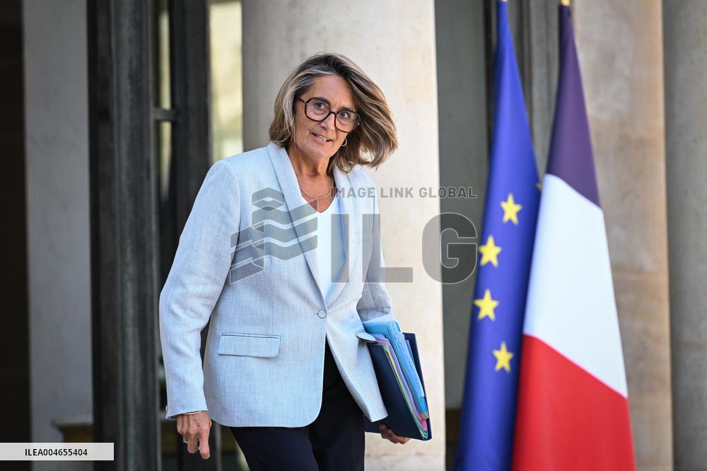Council of Ministers at the Elysee Palace - Paris