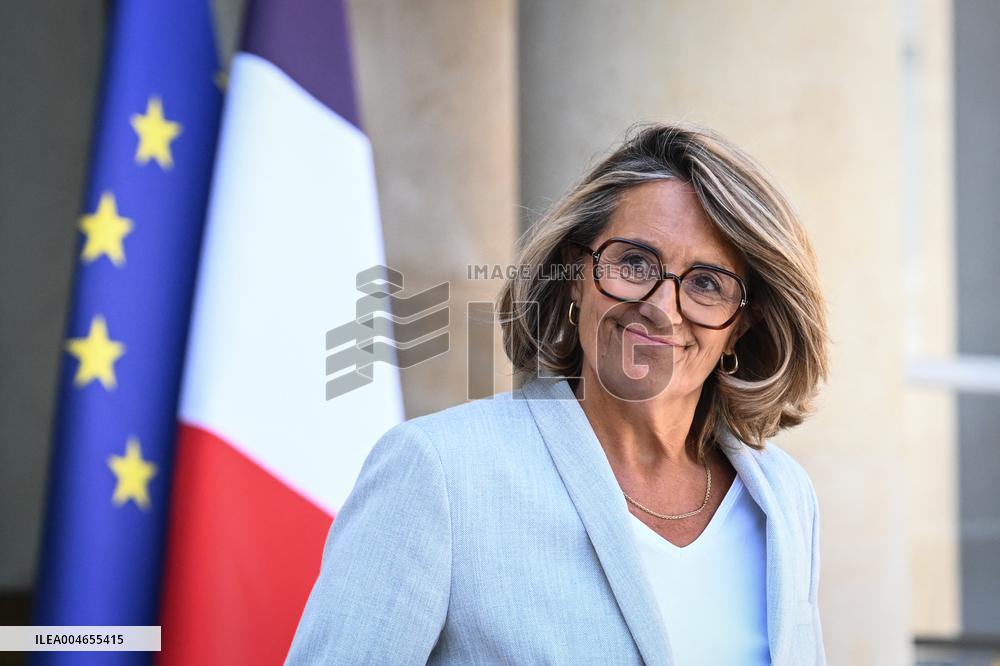 Council of Ministers at the Elysee Palace - Paris