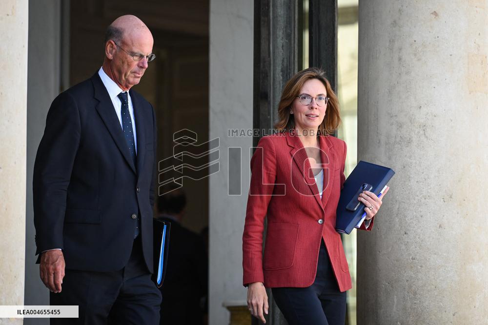 Council of Ministers at the Elysee Palace - Paris