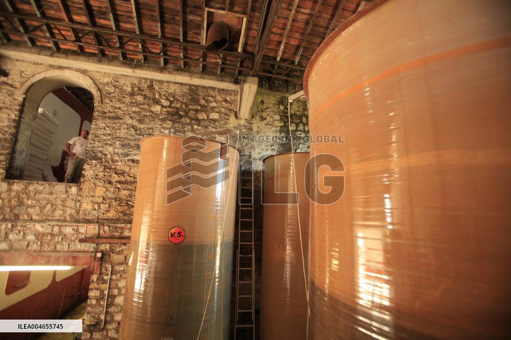 Early 2025 Harvest in The Midst of The French Wine Crisis