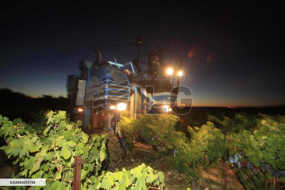 Early 2025 Harvest in The Midst of The French Wine Crisis