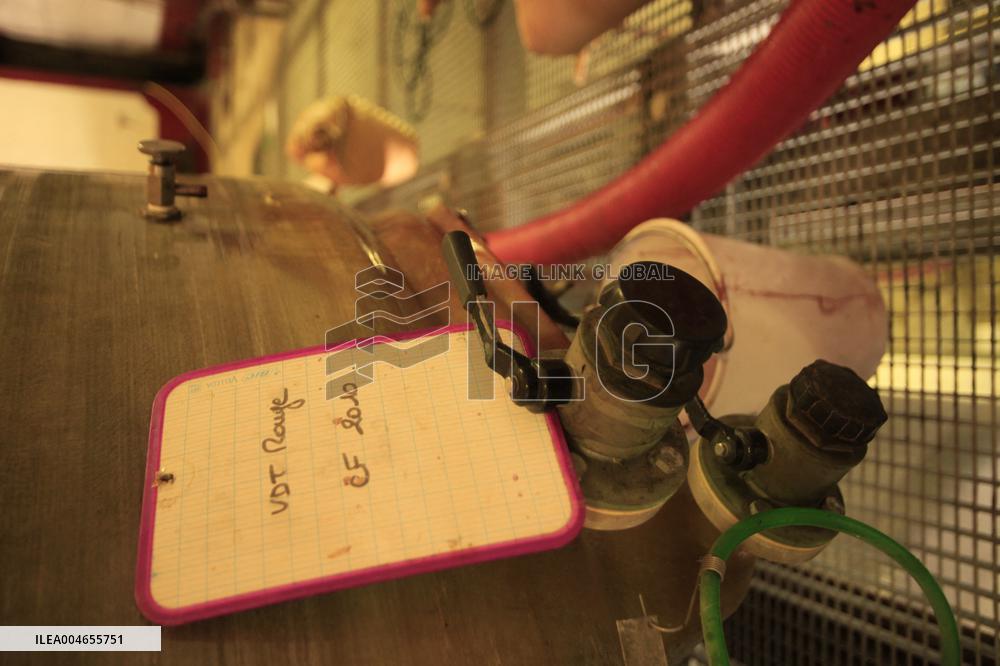 Early 2025 Harvest in The Midst of The French Wine Crisis