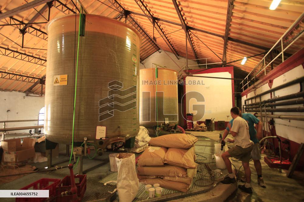 Early 2025 Harvest in The Midst of The French Wine Crisis