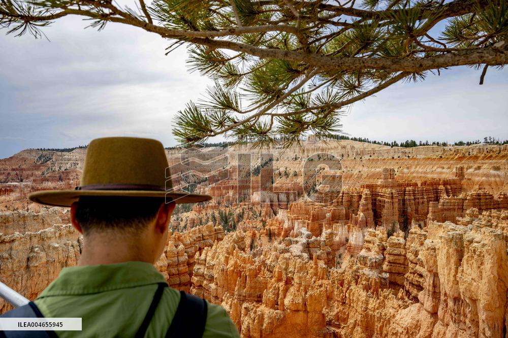 Illustration - Bryce Canyon is a National Park - USA