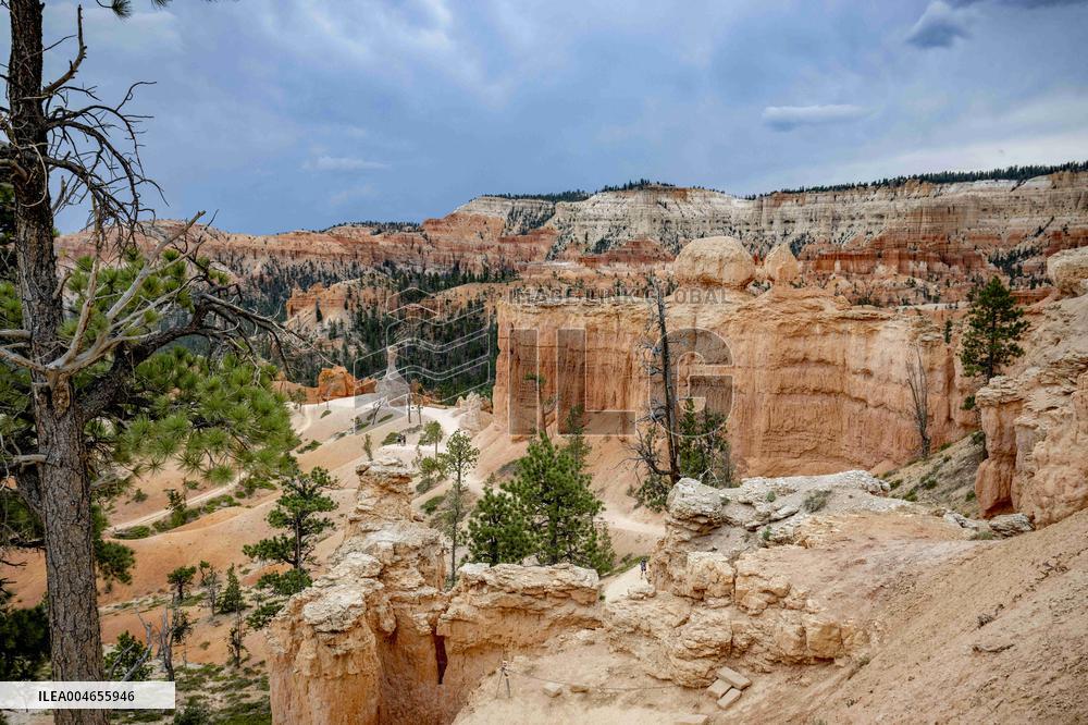 Illustration - Bryce Canyon is a National Park - USA