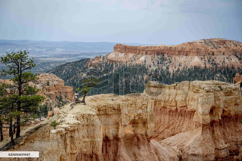 Illustration - Bryce Canyon is a National Park - USA
