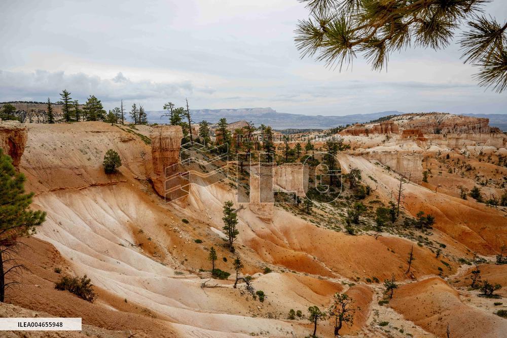 Illustration - Bryce Canyon is a National Park - USA