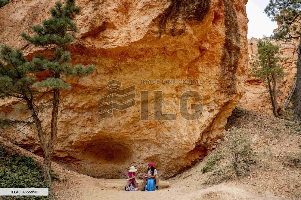 Illustration - Bryce Canyon is a National Park - USA
