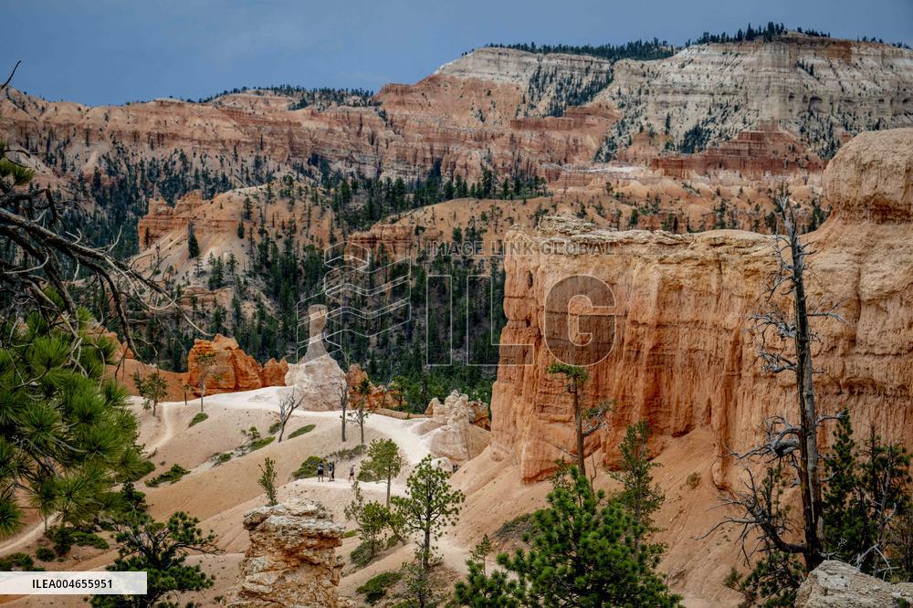 Illustration - Bryce Canyon is a National Park - USA