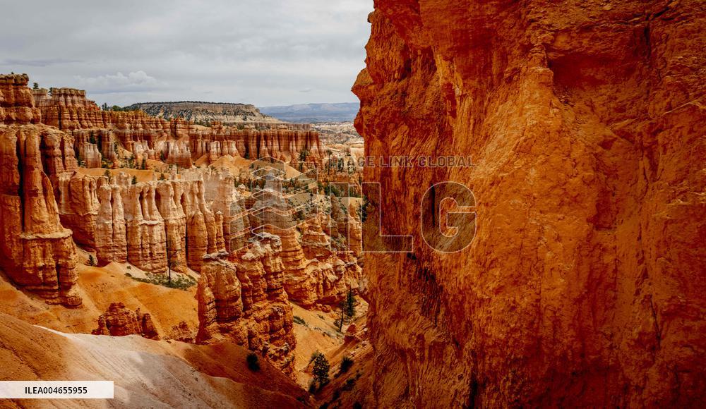 Illustration - Bryce Canyon is a National Park - USA