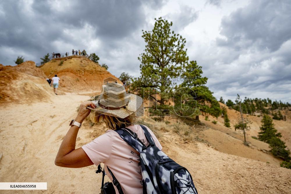Illustration - Bryce Canyon is a National Park - USA