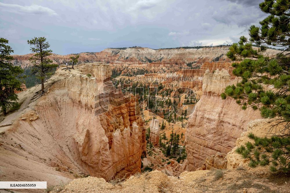 Illustration - Bryce Canyon is a National Park - USA