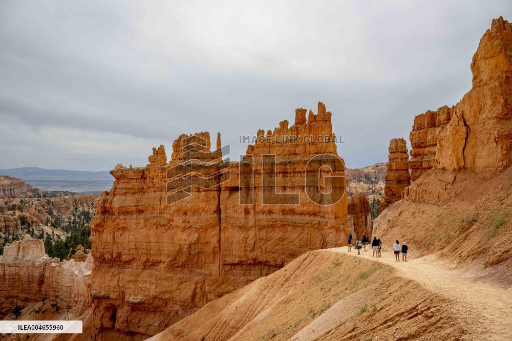 Illustration - Bryce Canyon is a National Park - USA