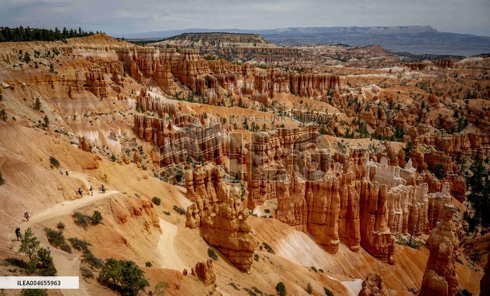 Illustration - Bryce Canyon is a National Park - USA