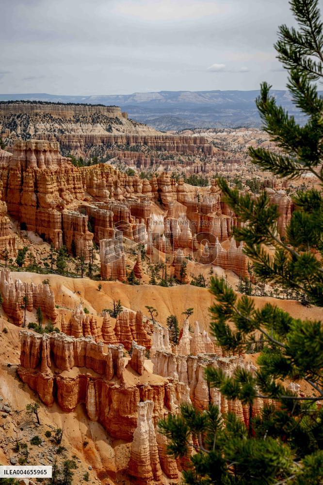Illustration - Bryce Canyon is a National Park - USA