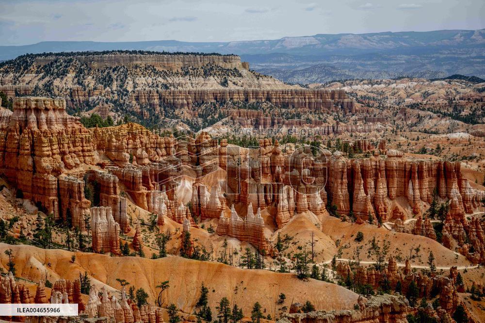 Illustration - Bryce Canyon is a National Park - USA