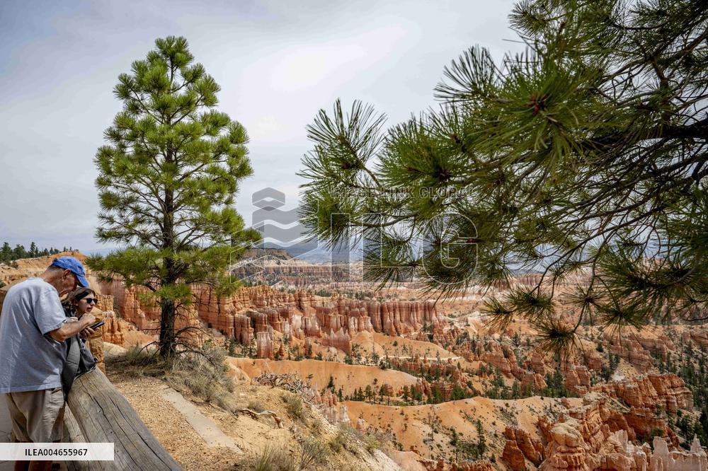 Illustration - Bryce Canyon is a National Park - USA