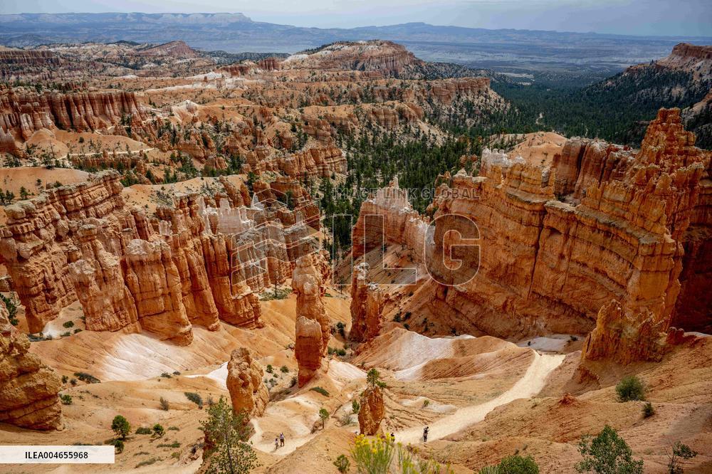 Illustration - Bryce Canyon is a National Park - USA