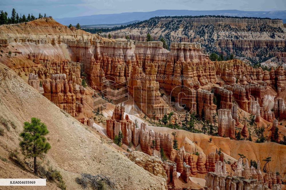 Illustration - Bryce Canyon is a National Park - USA
