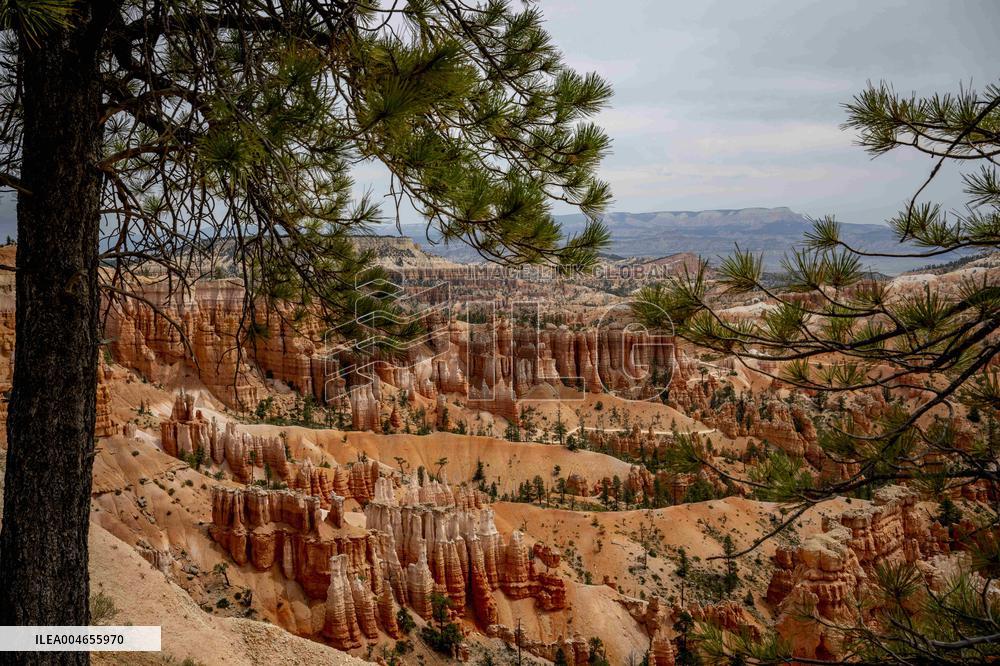 Illustration - Bryce Canyon is a National Park - USA