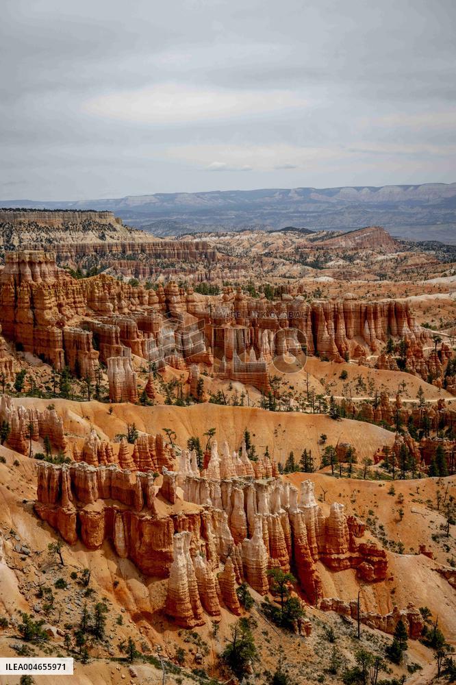 Illustration - Bryce Canyon is a National Park - USA