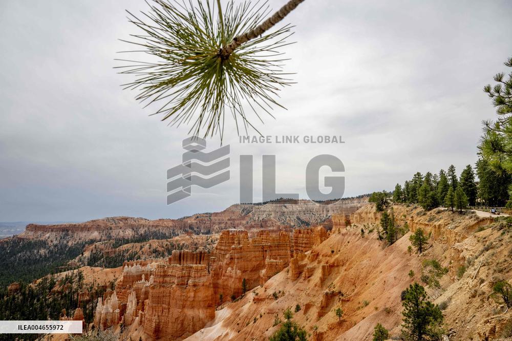 Illustration - Bryce Canyon is a National Park - USA