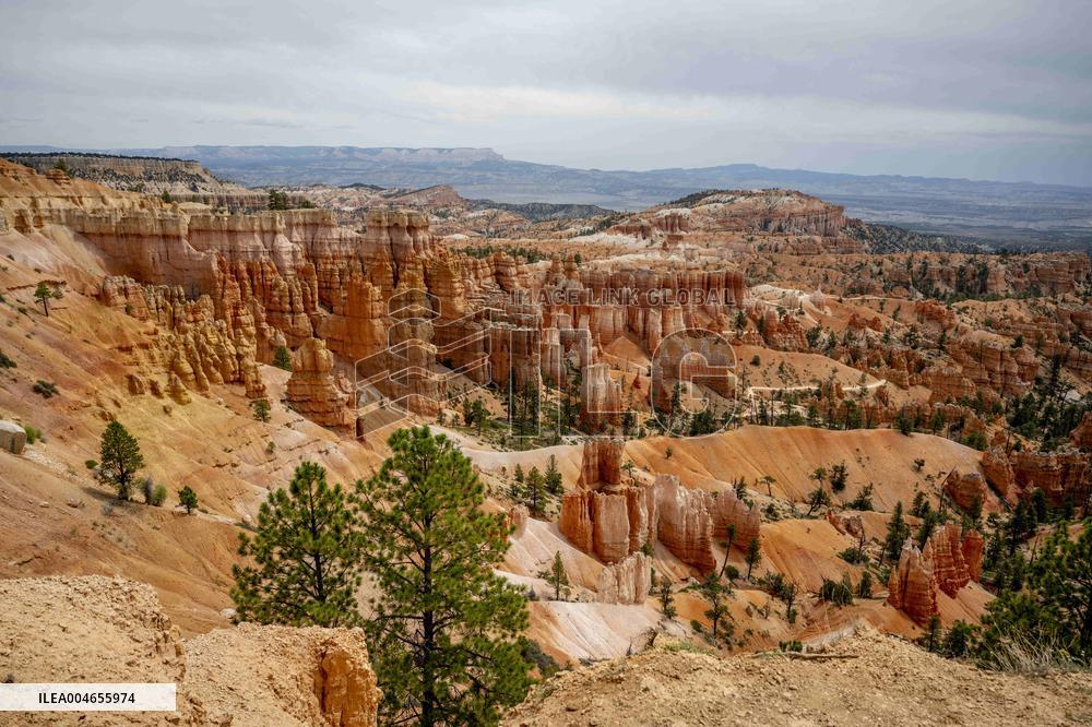 Illustration - Bryce Canyon is a National Park - USA