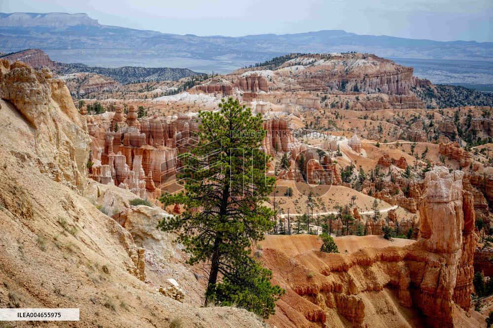 Illustration - Bryce Canyon is a National Park - USA