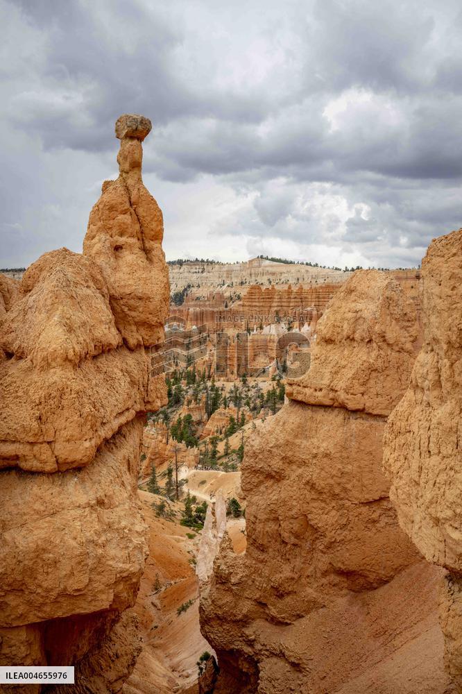 Illustration - Bryce Canyon is a National Park - USA