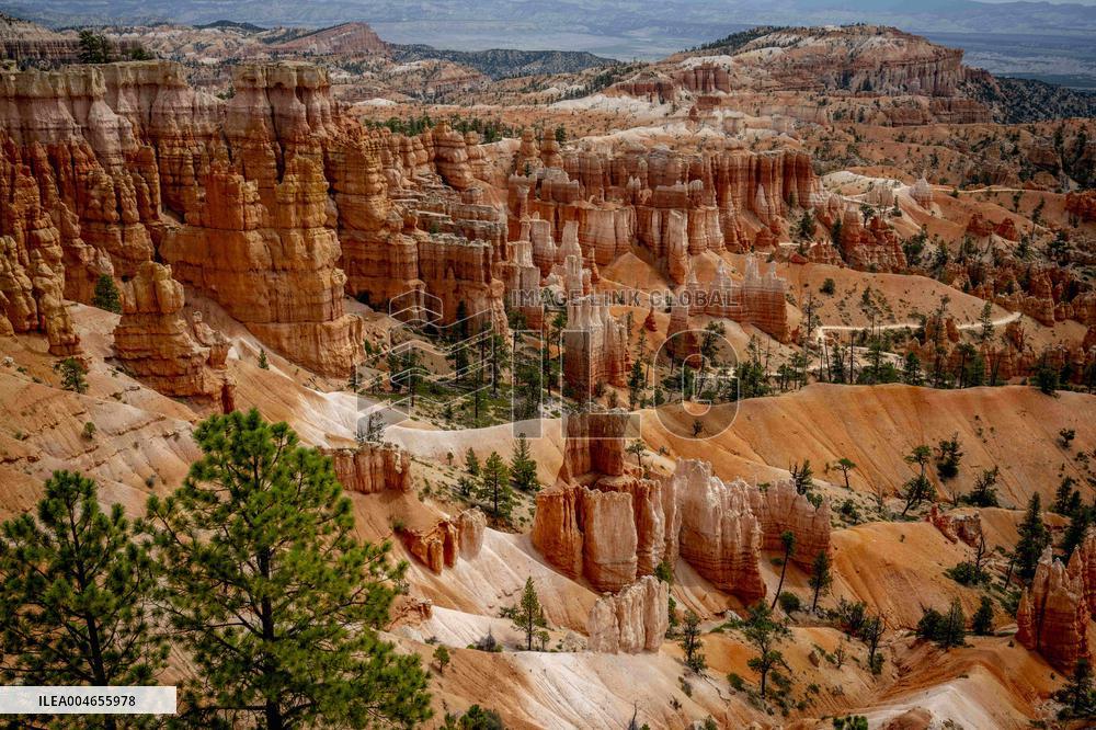 Illustration - Bryce Canyon is a National Park - USA
