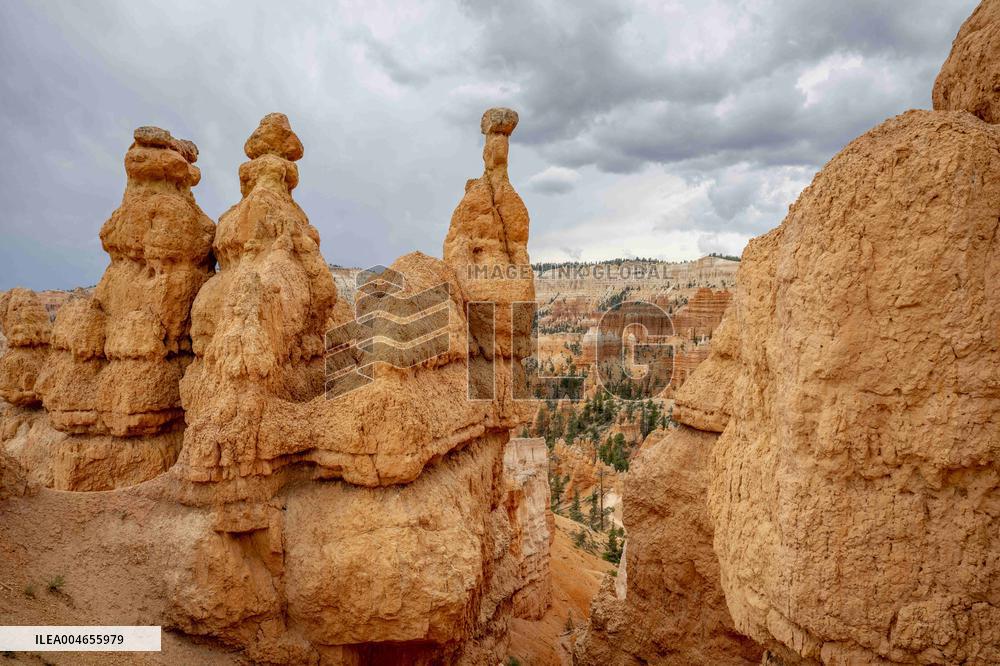 Illustration - Bryce Canyon is a National Park - USA