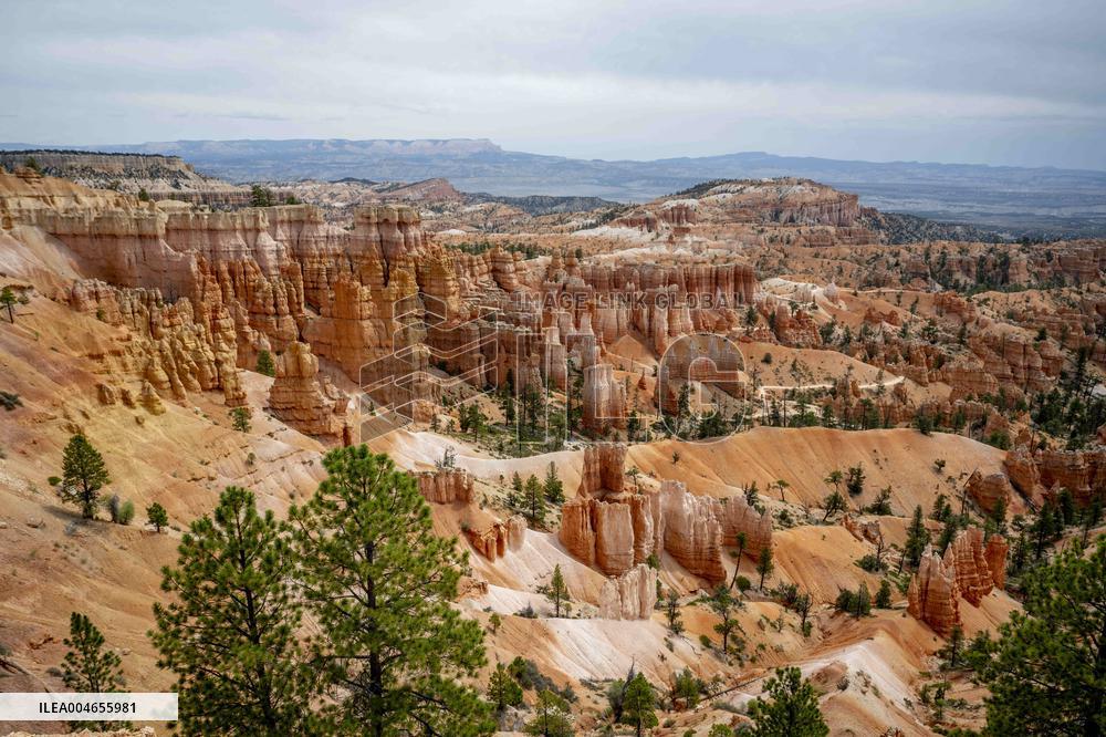 Illustration - Bryce Canyon is a National Park - USA