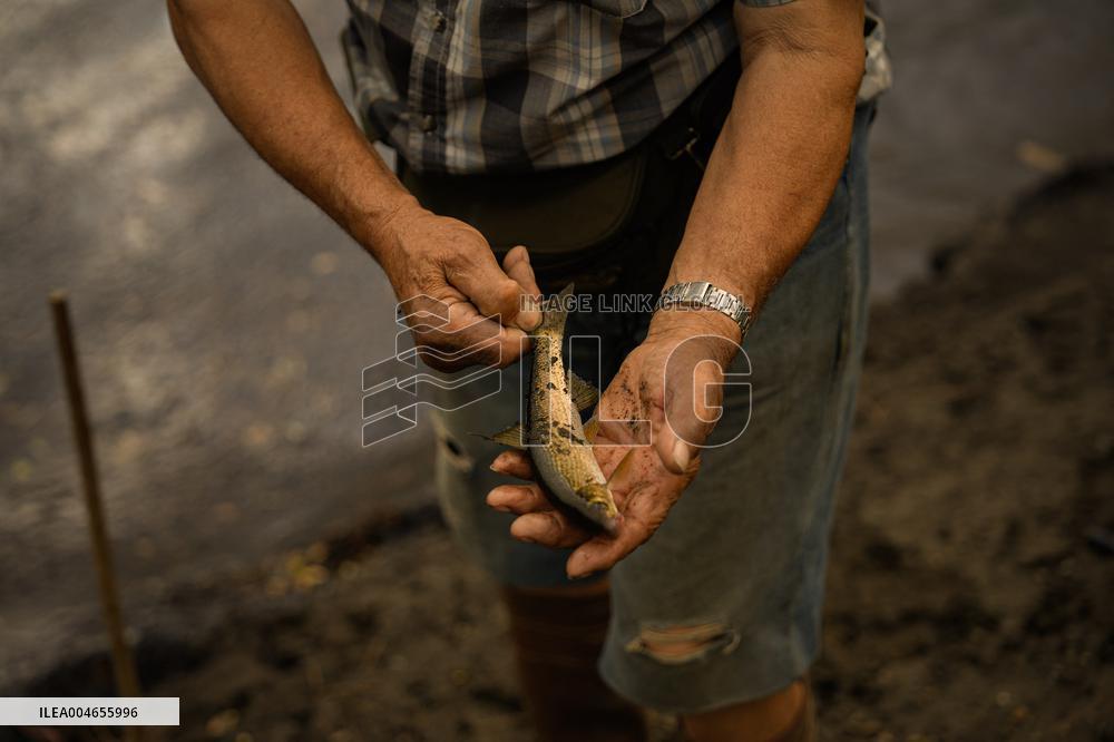 Situation 2 in Pobra Do Brollón Fire Cancelled - Spain