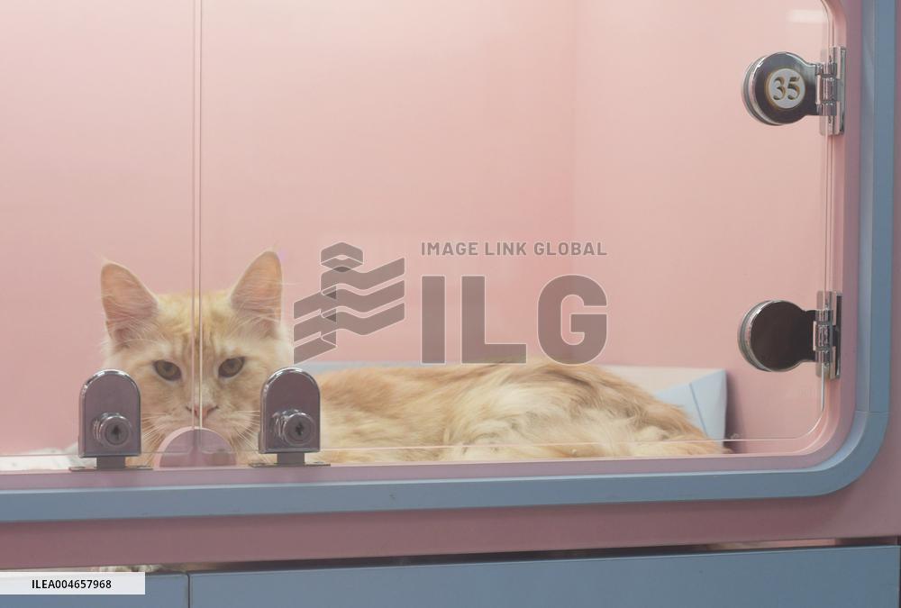 Hangzhou Xiaoshan International Pet Terminal