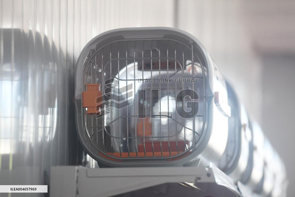 Hangzhou Xiaoshan International Pet Terminal