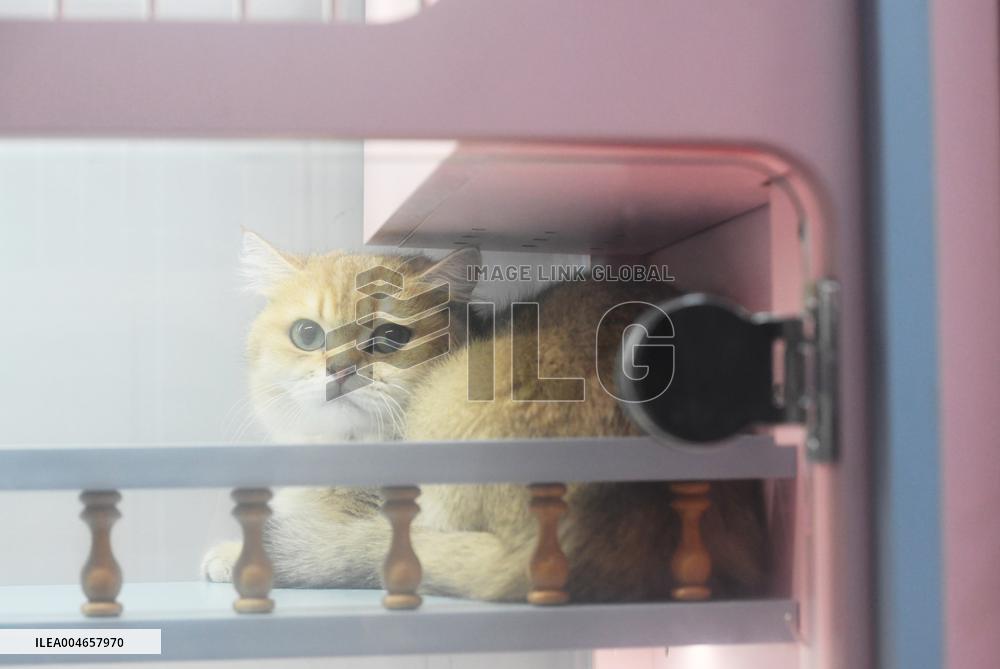 Hangzhou Xiaoshan International Pet Terminal