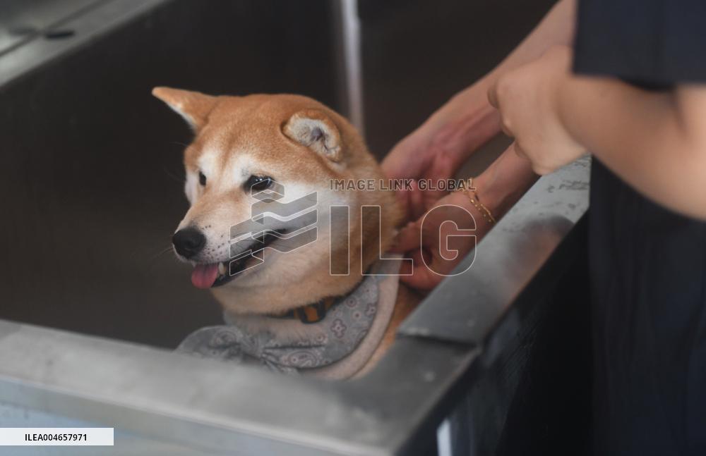 Hangzhou Xiaoshan International Pet Terminal